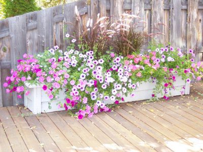 gallery/medium/0 (55)-Garden-Sun-Valley-Idaho.jpg